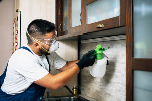 Best Residential Pest Control  in Morrow, OH