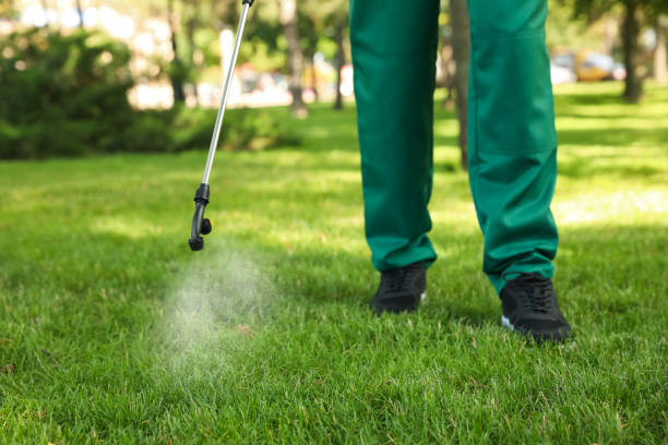 Professional Pest Control in Morrow, OH