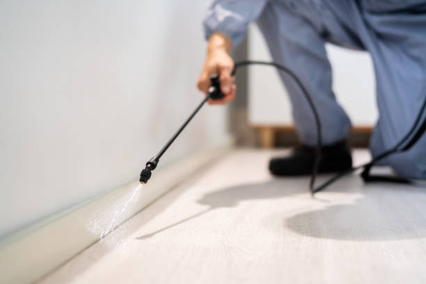 Best Flea Control Services  in Morrow, OH