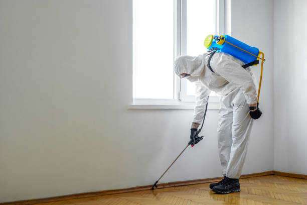 Best Insect Control  in Morrow, OH