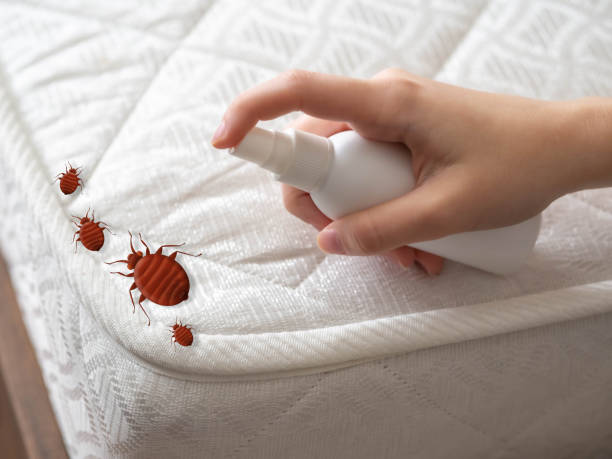 Best Ant Control Services  in Morrow, OH