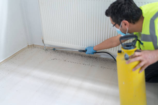 Best Best Pest Control Companies  in Morrow, OH